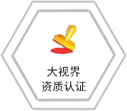 大视界资质认证