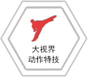 大视界动作特技