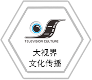 大视界文化传播