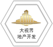 大视界地产开发