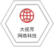 大视界网络科技